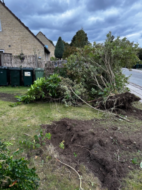 Fjernelse af opgravet buske og træ til genbrugsstation