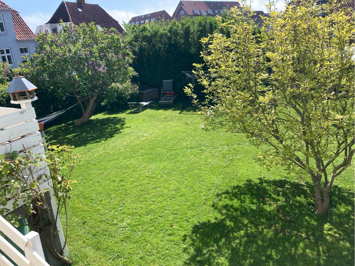 Slå græs (ca. 350 kvm2)