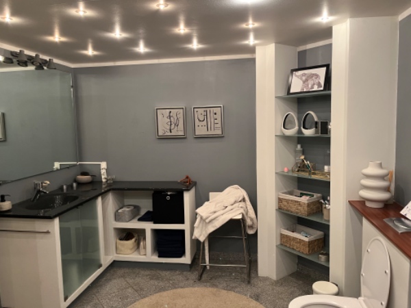 Maler badeværelse. Både væg, loft og fliser.