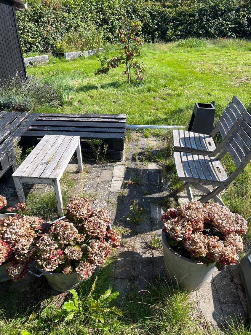 Need help with my garden