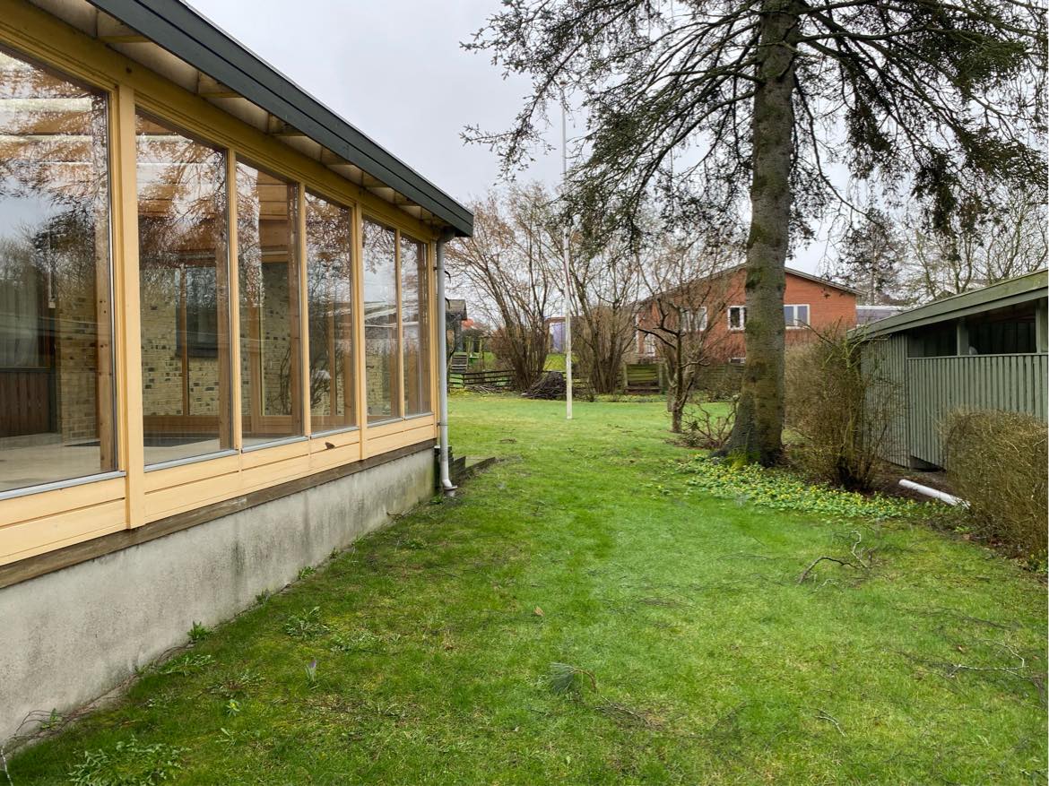 Fældning af 3 træer i have