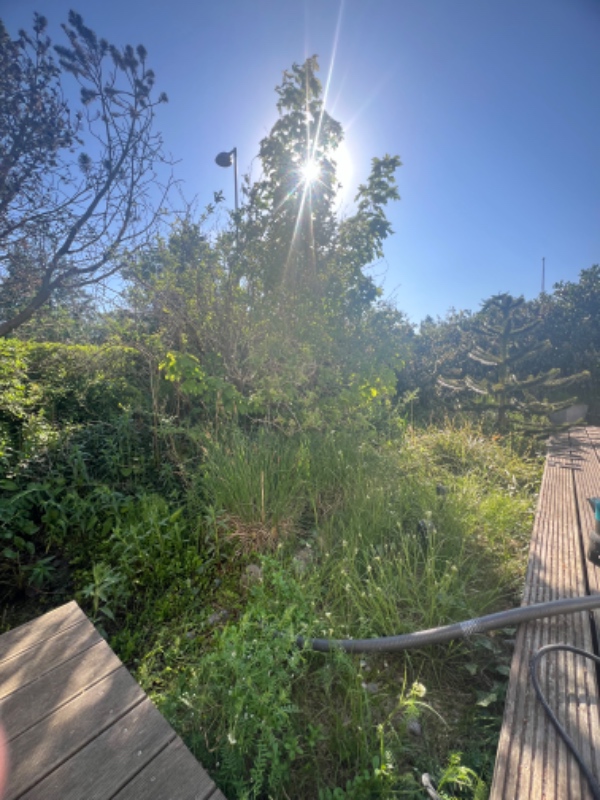 Havearbejde og fjernelse af sten