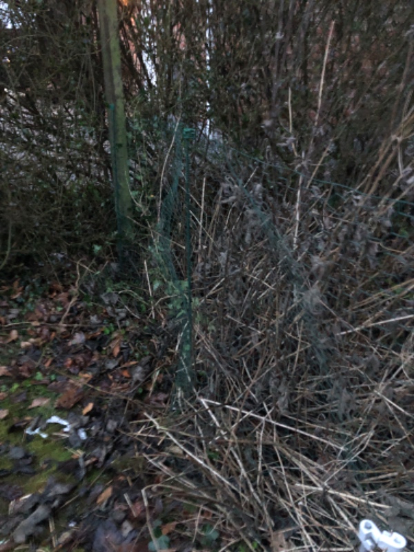 Nedtagning af gammel låge og 3 stolper. Jeg skal have opsat nyt hegn og låge, bredde på haven er 3 m