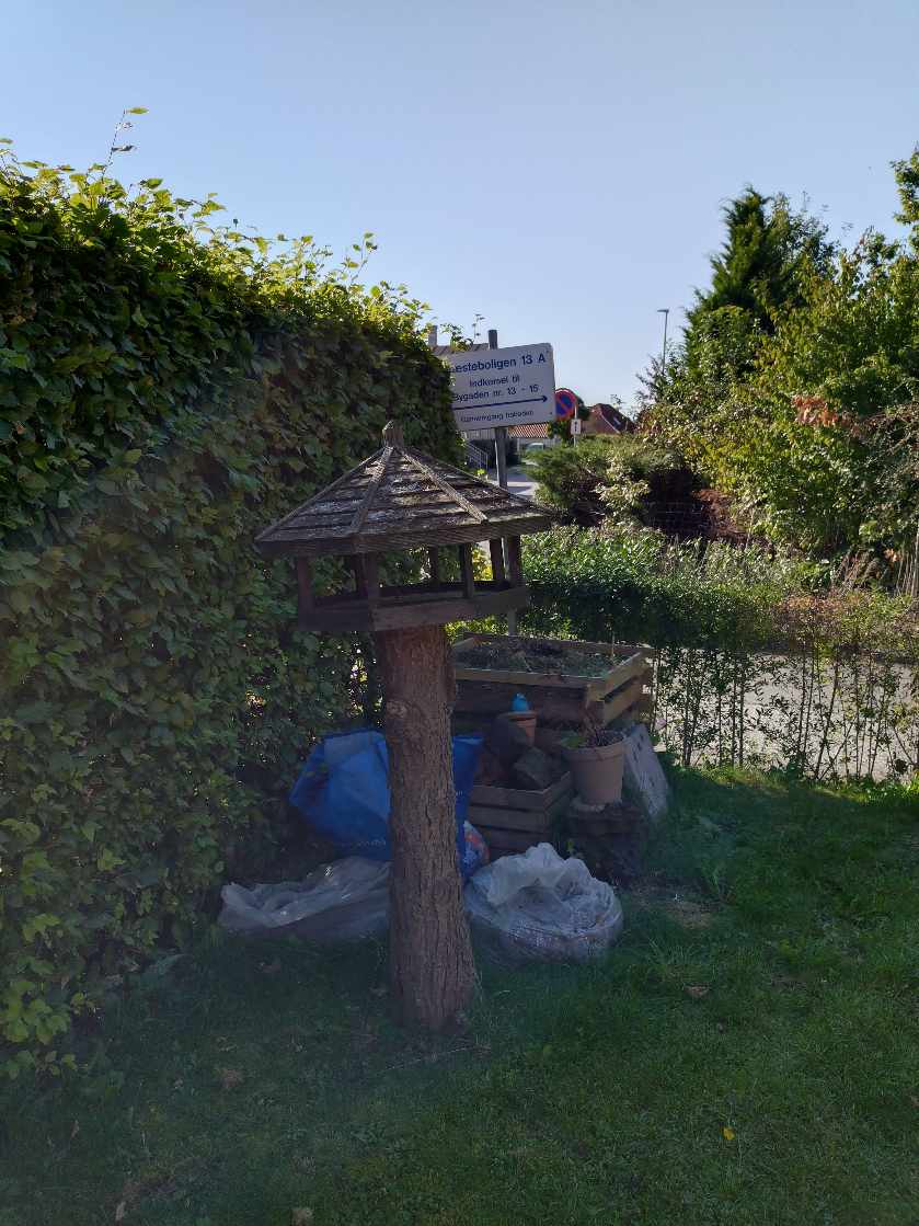 Fældning af busk og træstub