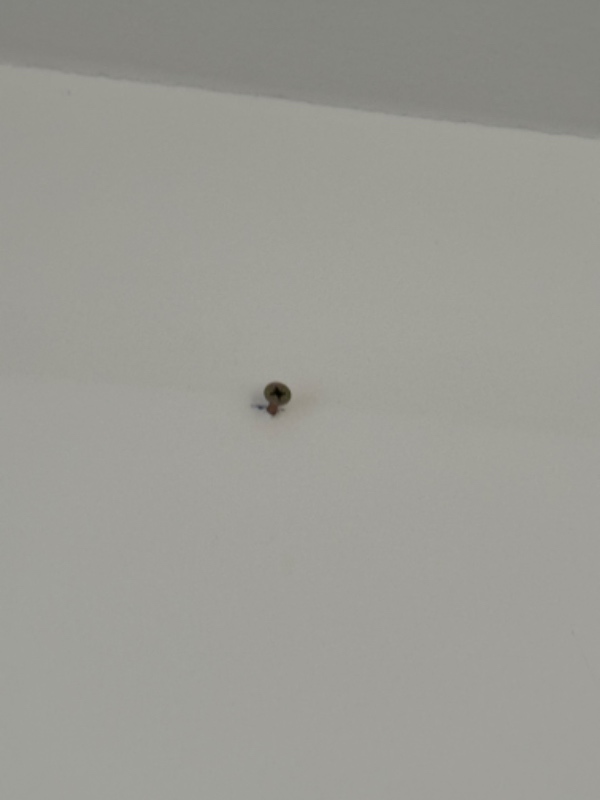 Opsætning af lampe + fjerne skruer