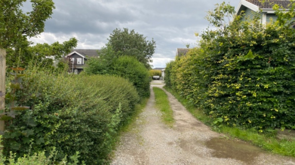 Hækklipning og bortskaffelse afklip