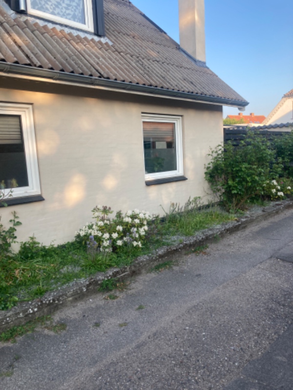 Fjernelse af ukrudt mellem fliser samt mindre bede