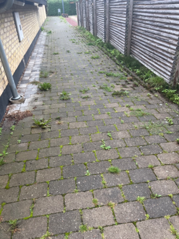 Fjerne ukrudt i bede og flisegang