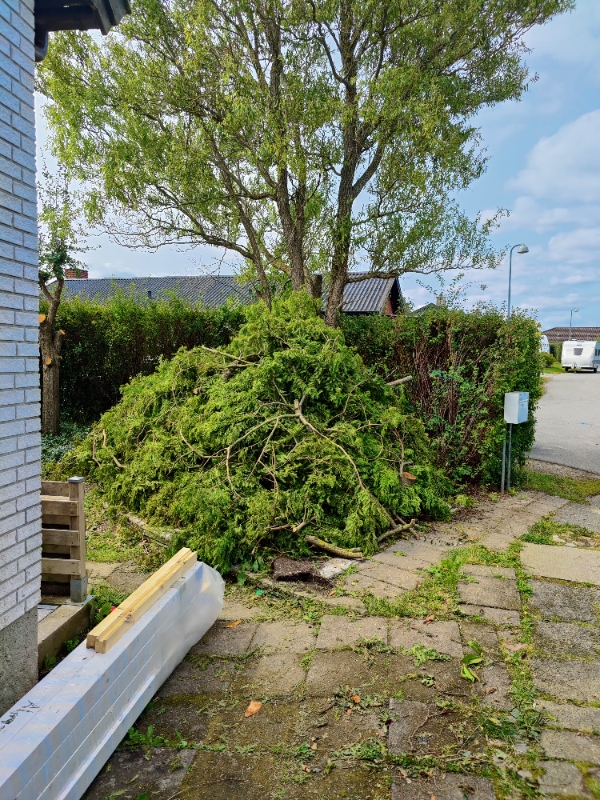 Afhentning af haveaffald