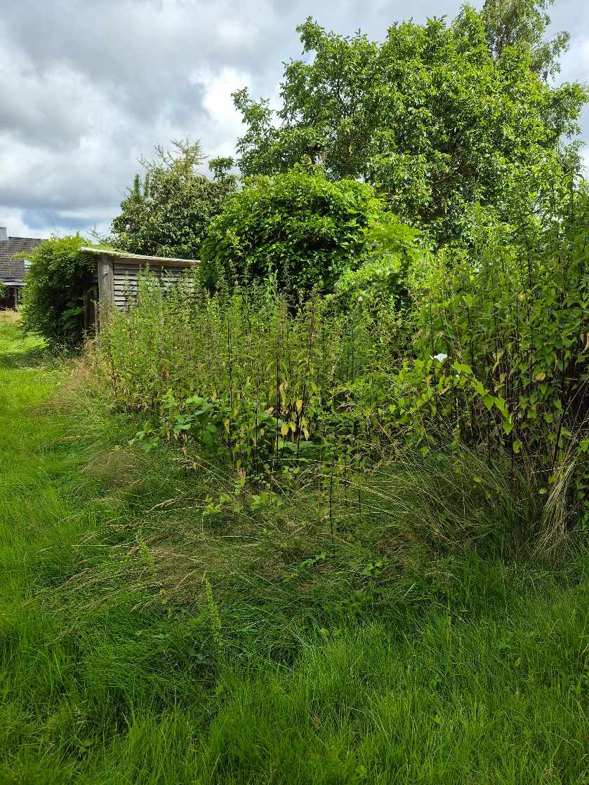 Nedbrydning og bortkørsel af gammel hønsegård