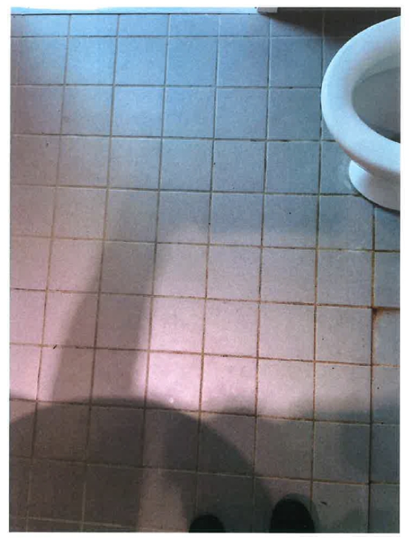 udflytningsrengøring