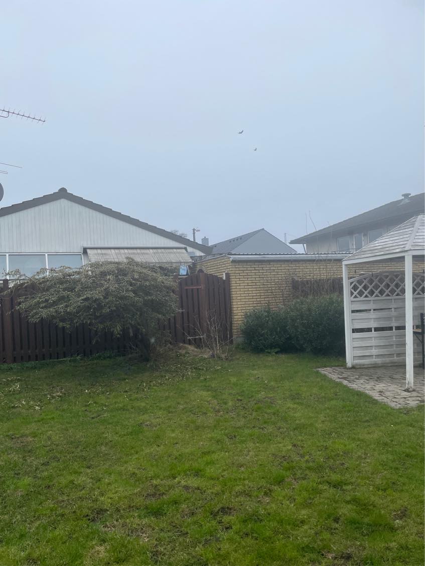 Oprydning af forhave og have