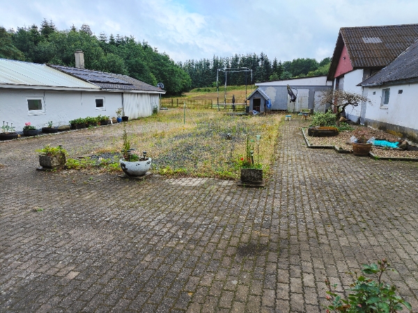 Fjernelse af ukrudt i gård og indkørsel