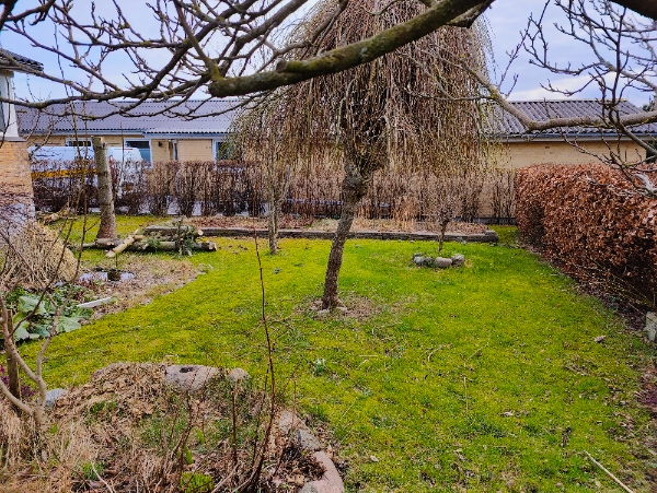 Græsplæneklipning og hæktrimning