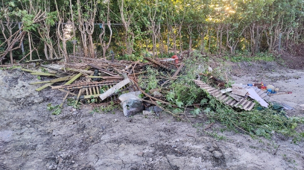 Afhentning af blandet affald