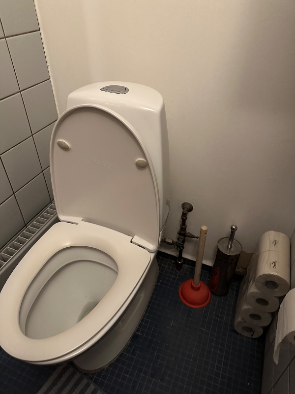 Toilet som løber og skiftning af pakninger i 5 vandhaner