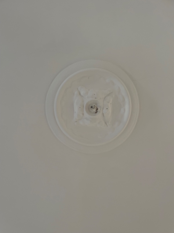 Afrensning af 4 rosetter