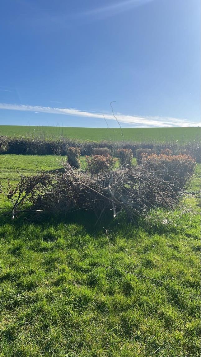 Kør affald + haveaffald til genbrugsplads