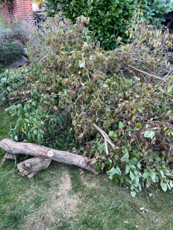 Afhentning af haveaffald