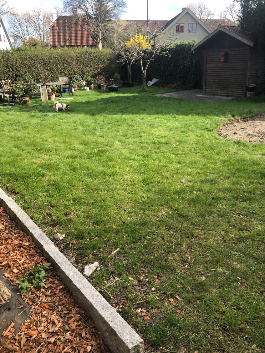 Hjælp til at få Bosch plæneklipper gjort klar til drift