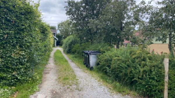 Hækklipning og bortskaffelse afklip