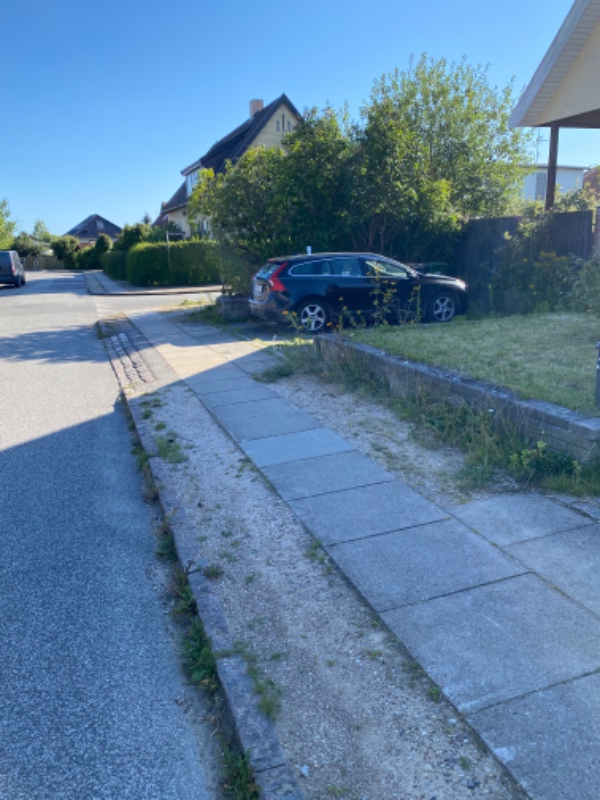 Fjerne ukrudt på 50m fortov (hjørnegrund)