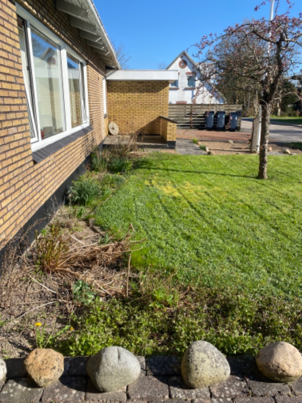Haven skal trimmes. Buske og gamle planter skal fjernes.