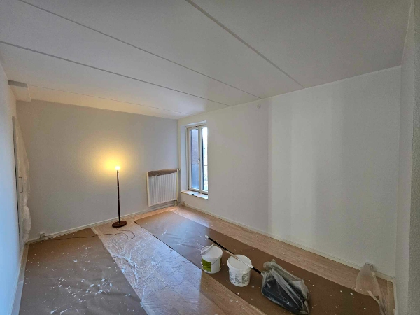 ¨male væg og paneler i lejligheden