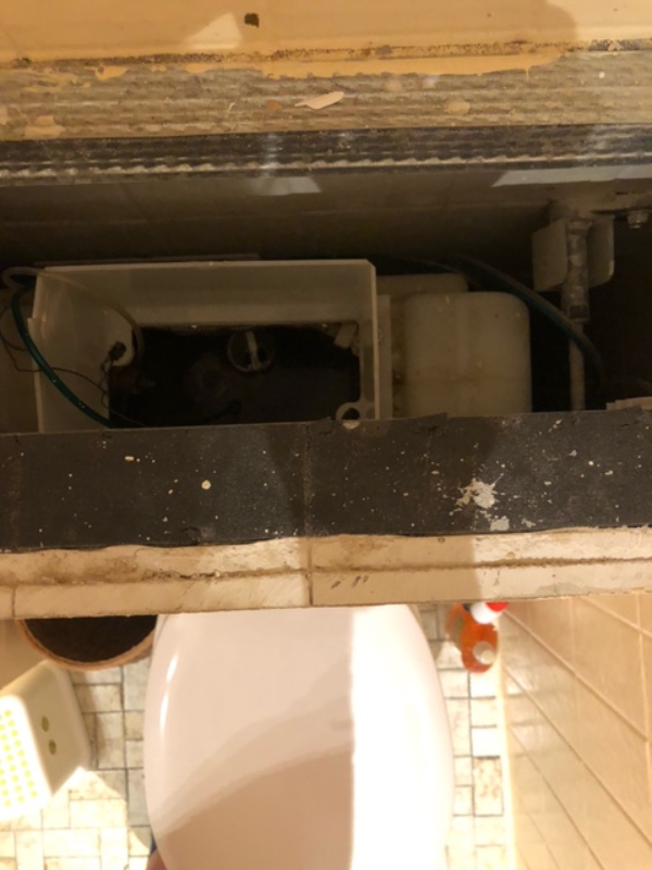 Problemer med skylleknappen og toiletskyl