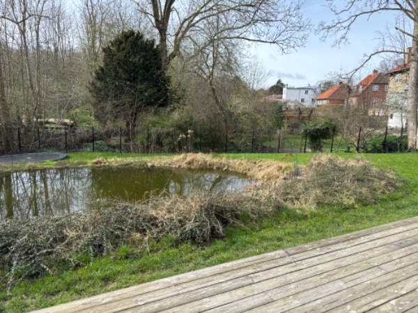 Forårsklargøring af have