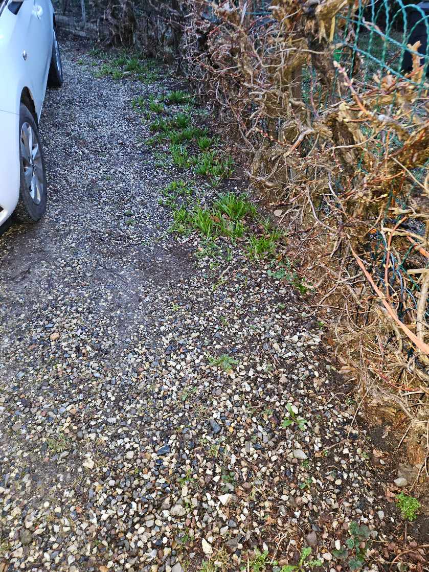 Vi skal have fjernet ca 1 kvm grus fra vores indkørsel.