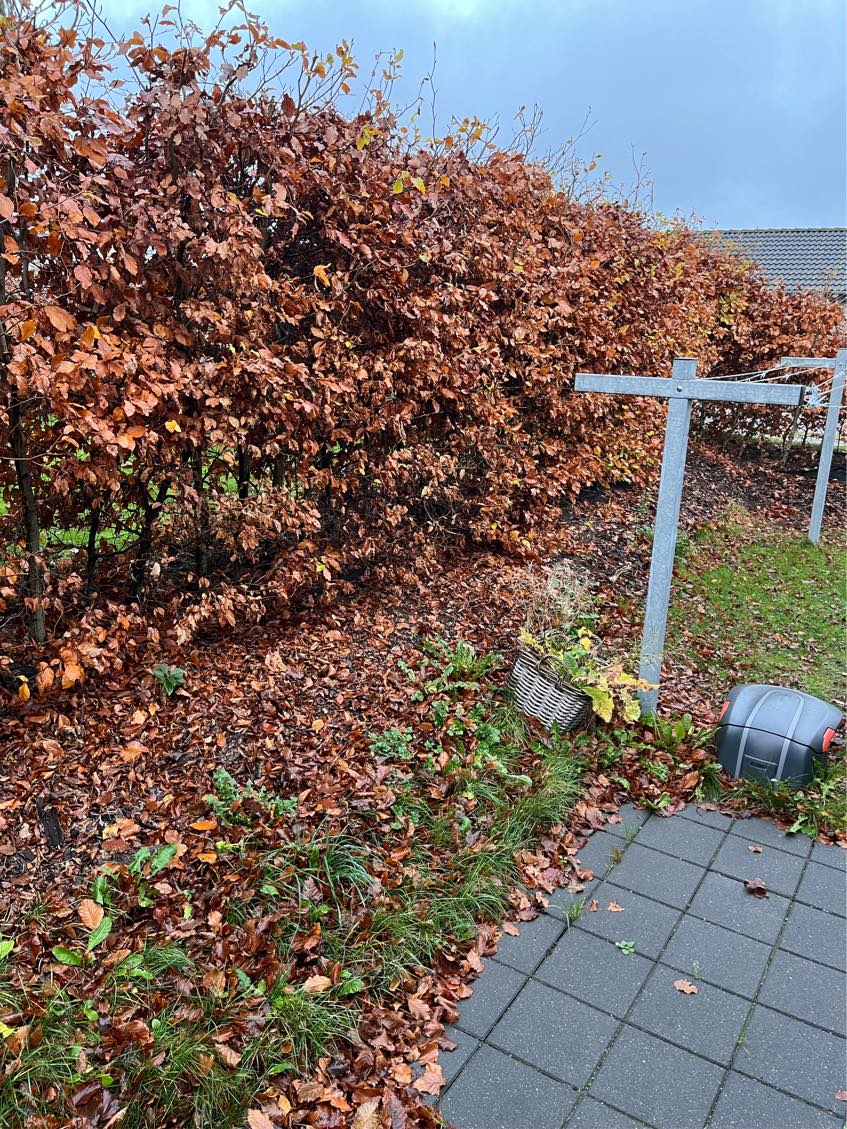 Sætte støttemur op