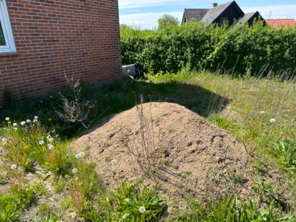 Terrasselægning med herregårdssten