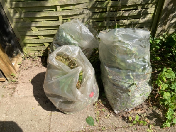 Køre grenaffald på genbrugsplads