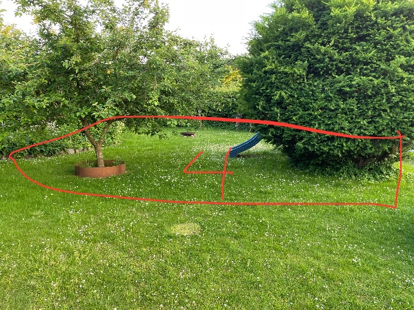 Fjernelse af træer og græsplæne