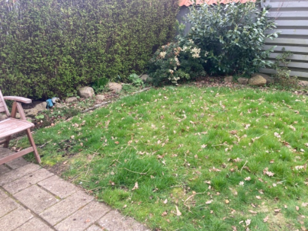 Græsplænefornyelse og nivellering