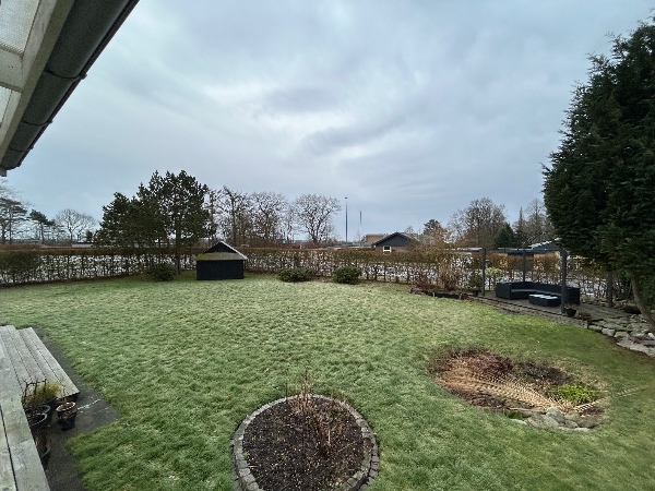 Beskæring af hæk - ca. 1/2 meter ned