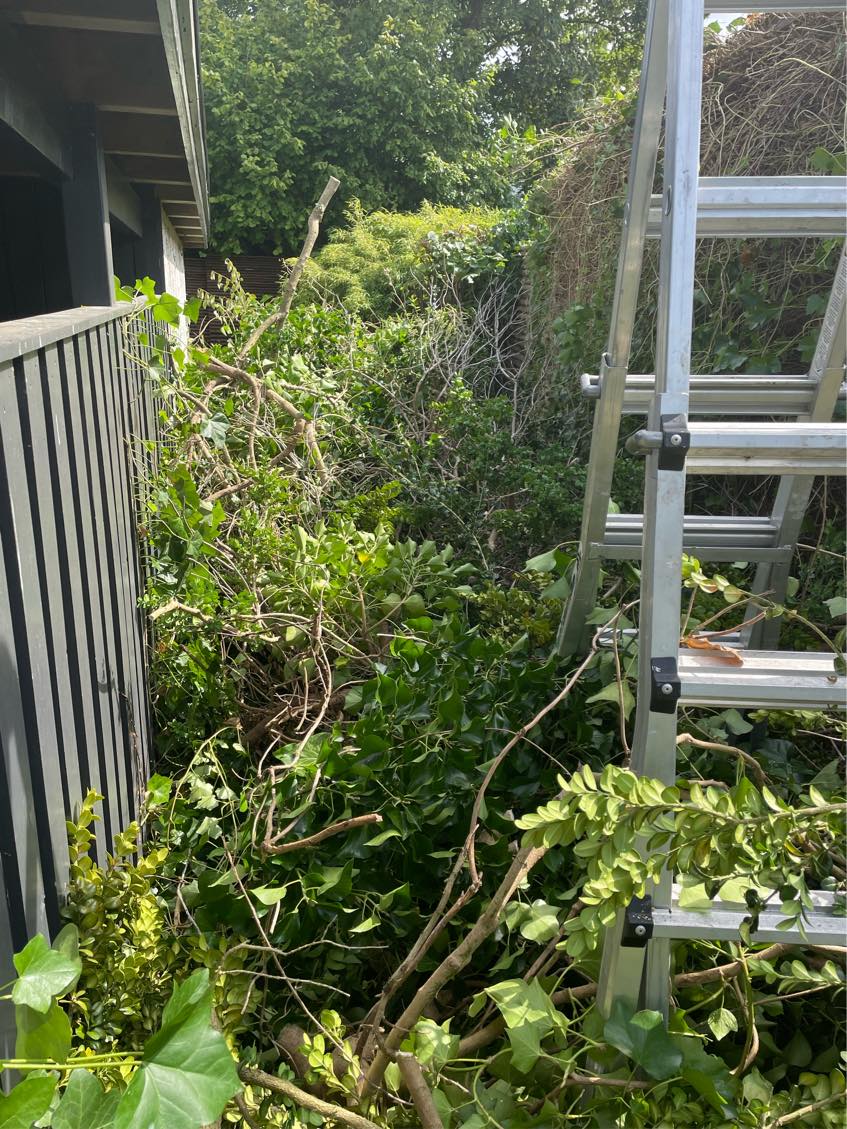 Haveaffald til genbrugspladsen