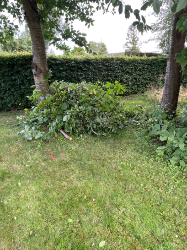 Køre haveaffald, metal, dug og net fra trampolin og gire cykler på genbrugspladsen. En dag i denne uge. Jeg stiller det ud på rabatten ved vejen