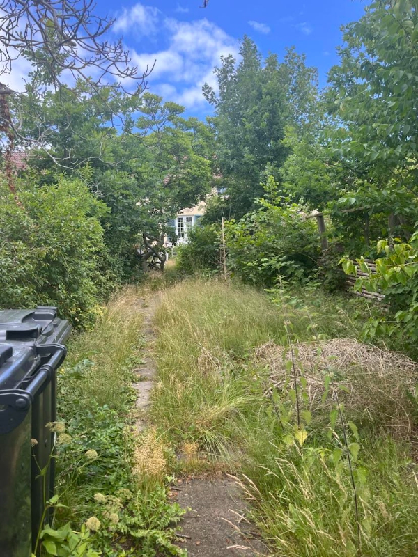 Fjernet byggeaffald, cykel mm fra have