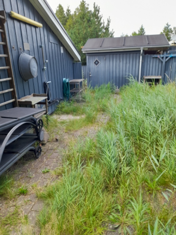 Græsslåning og siv fjernes