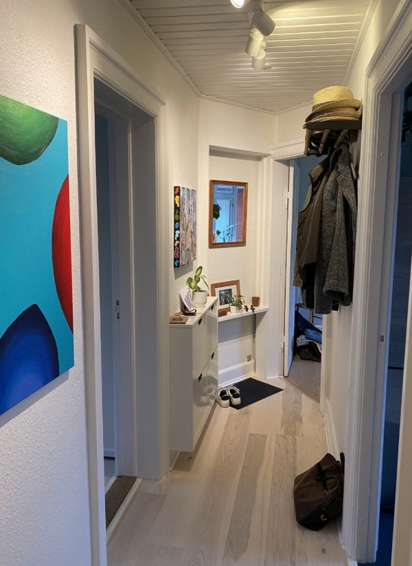 Opsætte gipsvæg og (gen)etablere og opsætte dør