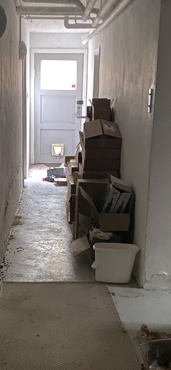 Hjælp til oprydning i kælder, flytte ting, pakke ting i kasser og køre affald væk.