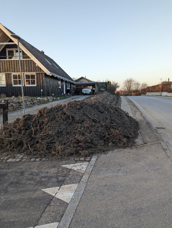 Afhentning af rødder ned en del jord omkring sig