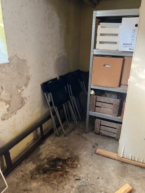 Oprydning/rengøring i kælder