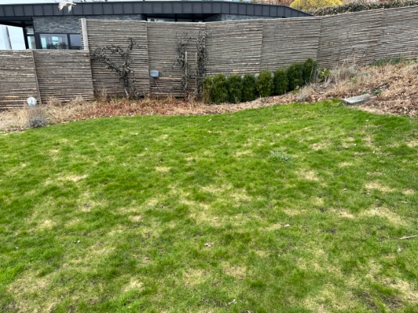 Nedgravning af trampolin