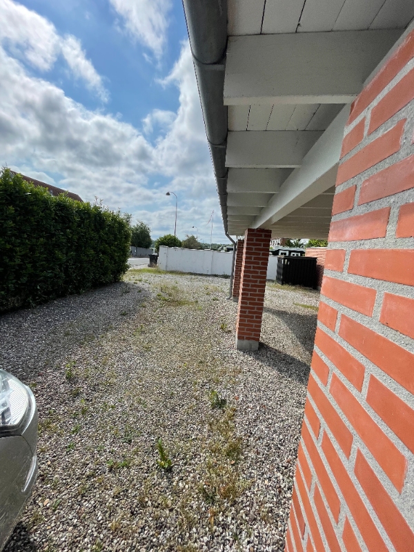 Klipning af hæk og fjernelse af ukrudt ved fliser og bede