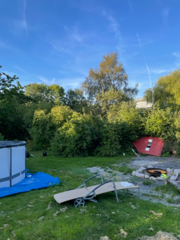 Fjernet buske og træer og lagt græs i stedet