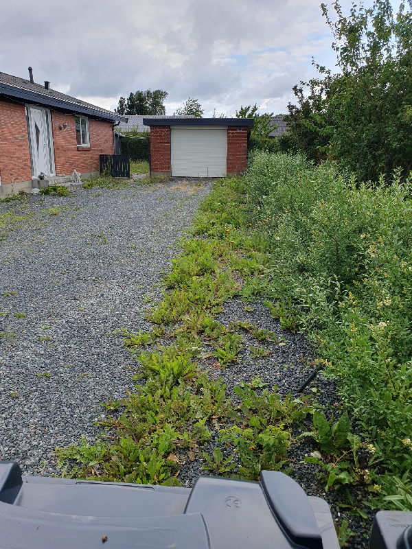 Ukrudt i indkørsel, fliser og lidt bede