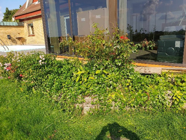 Fjernelse af 2 højbede